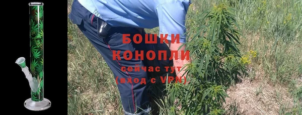 ГАЛЛЮЦИНОГЕННЫЕ ГРИБЫ Нефтегорск