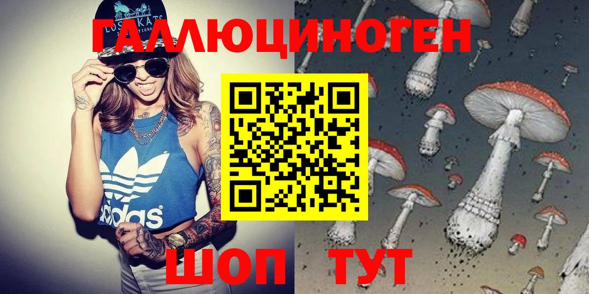 Псилоцибиновые грибы мухоморы Курчатов