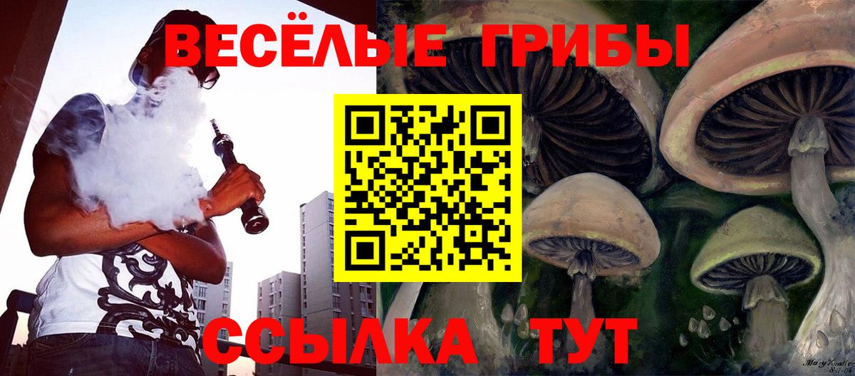 Галлюциногенные грибы MAGIC MUSHROOMS Курчатов